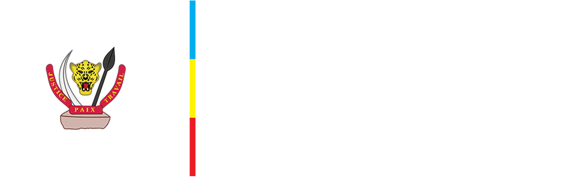 Partenaire 1